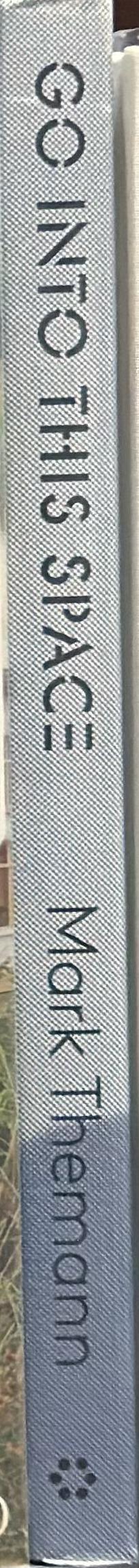 Go into this space / Mark Themann spine