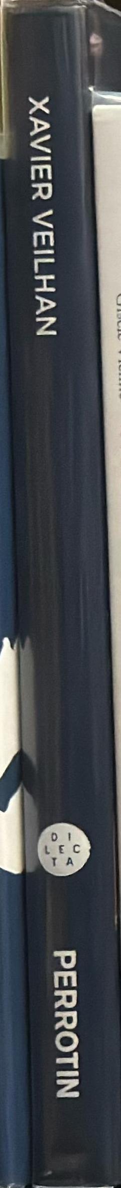 Xavier Veilhan spine