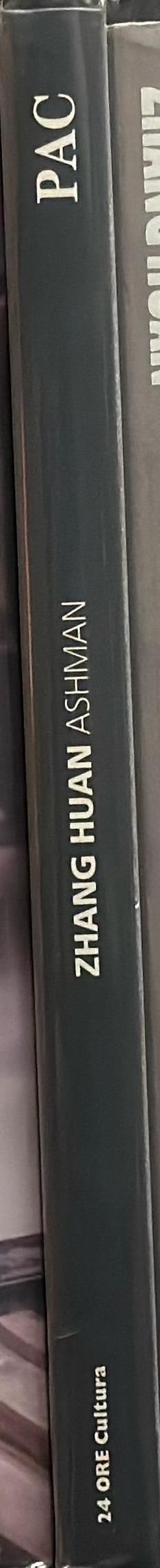 Zhang Huan : ashman spine