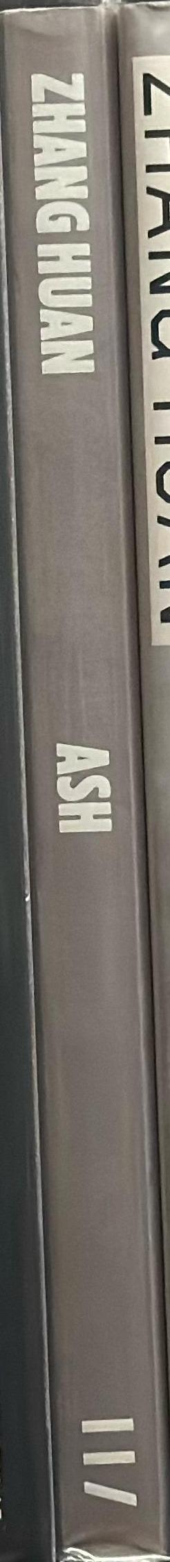 Zhang Huan : ash spine