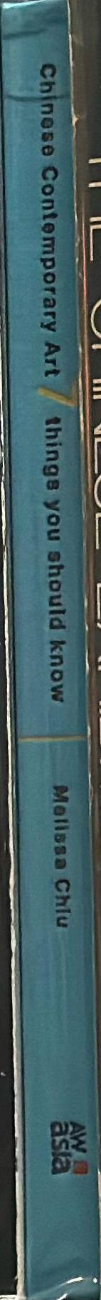 Chinese contemporary art : 7 things you should know spine