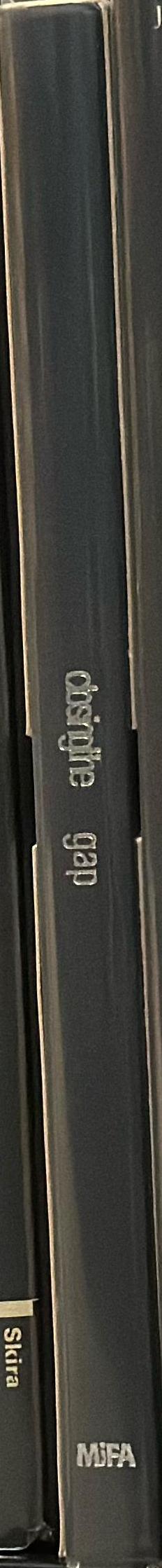 Closing the gap spine