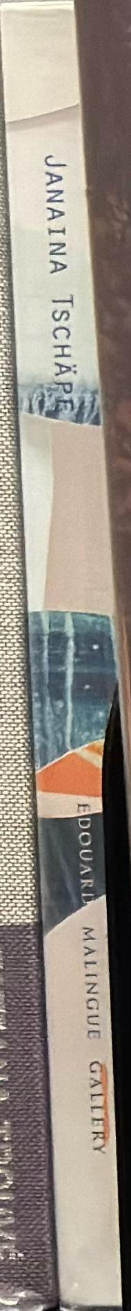 Janaina Tschäpe : contemplating landscape spine