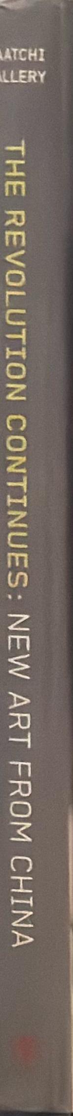 The revolution continues : new art from China spine