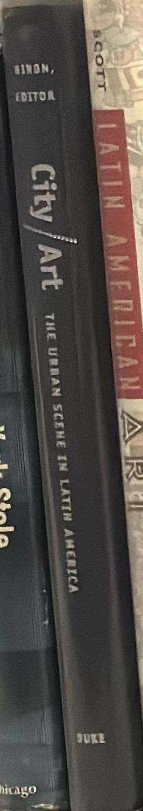 City/art : the urban scene in Latin America spine