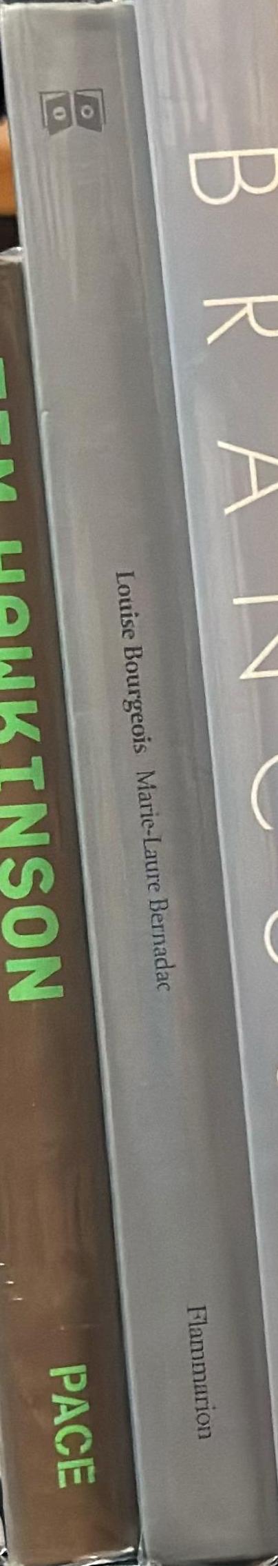 Louise Bourgeois spine
