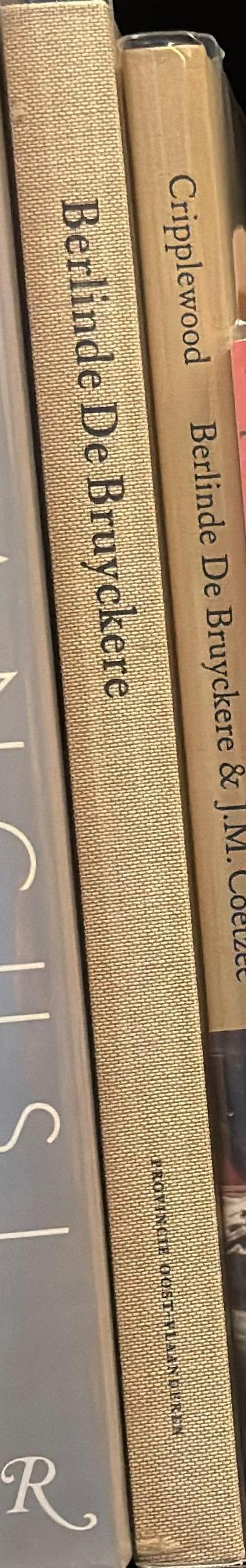 Berlinde De Bruyckere spine