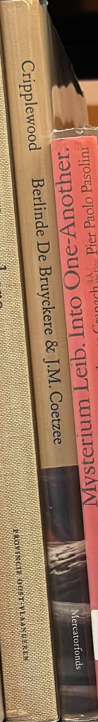 Cripplewood : Berlinde De Bruyckere and J. M. Coetzee spine