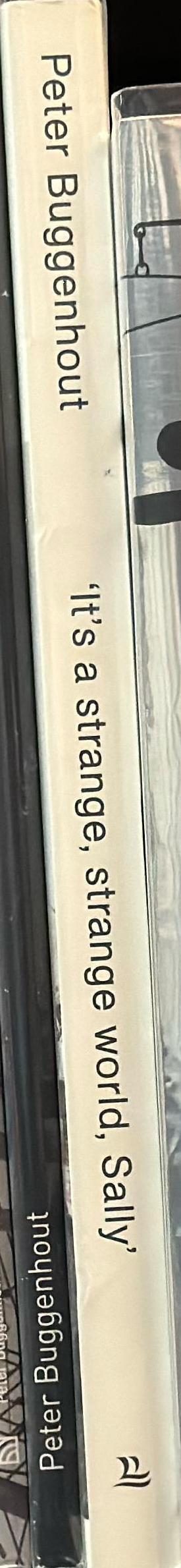It's a strange, strange word, 'Sally' : recent sculptures and installations by Peter Buggenhout spine