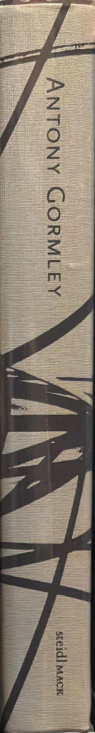 Antony Gormley spine