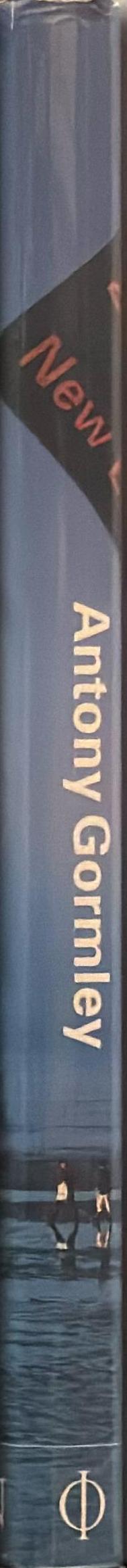 Antony Gormley spine