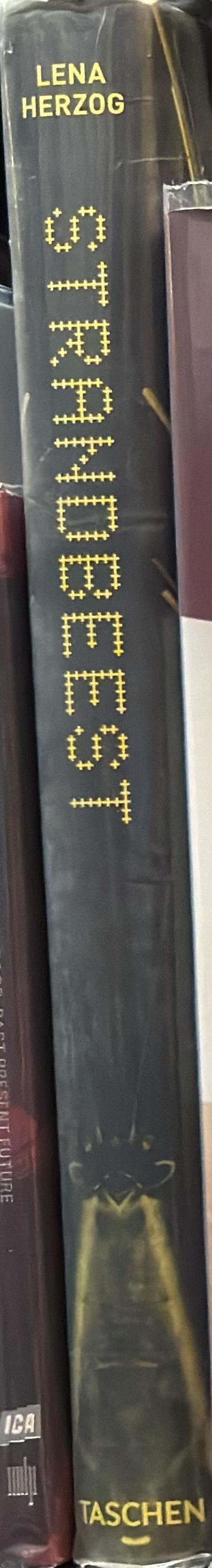 Strandbeest : the dream machines of Theo Jansen spine