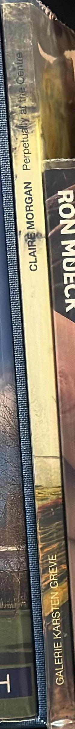 Claire Morgan : perpetually at the centre spine