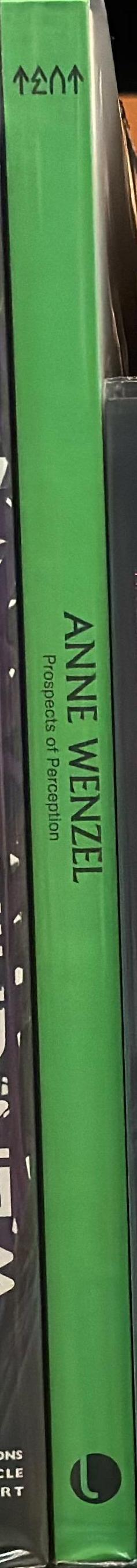 Anne Wenzel : prospects of perception spine