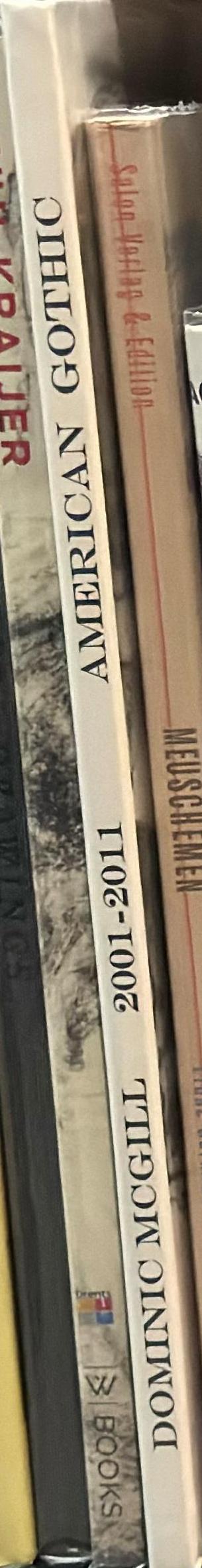 Dominic McGill : American gothic : selected drawing and sculpture 2001-2011 spine