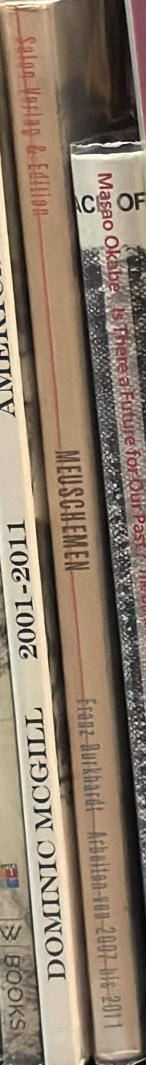 Meuschemen : arbeiten von 2006 bis 2011 spine