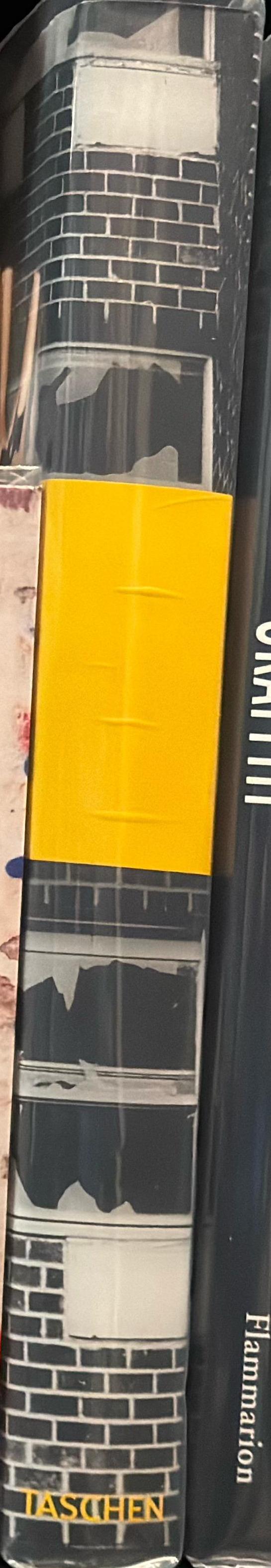 Trespass : a history of uncommissioned urban art spine