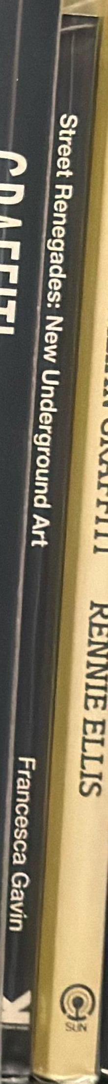 Street renegades : new underground art / Francesca Gavin spine