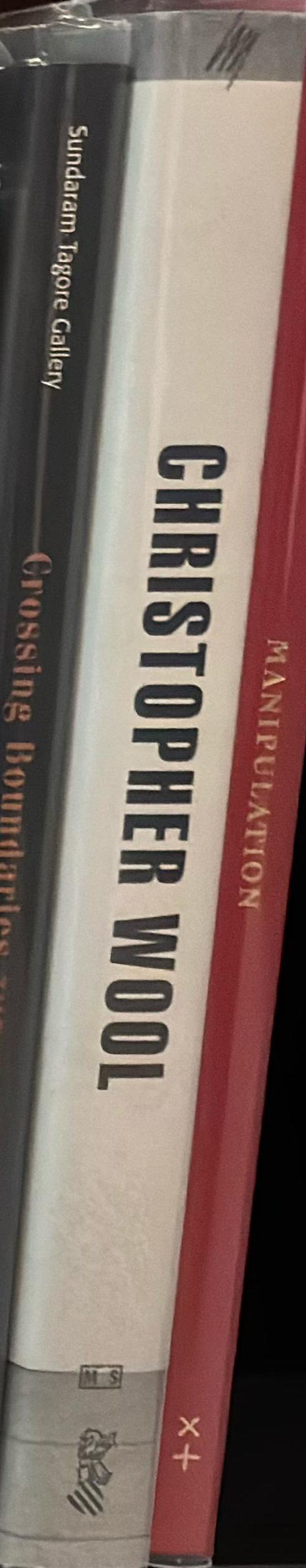 Christopher Wool spine