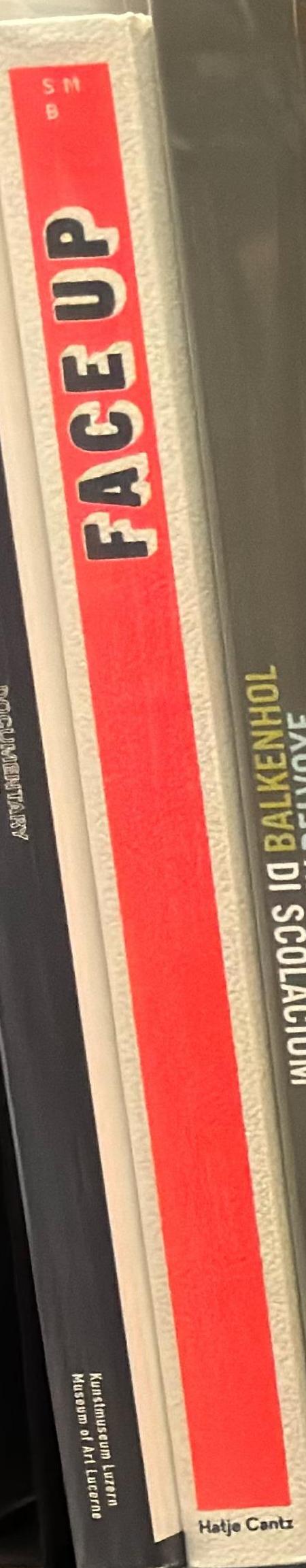 Face up : contemporary art from Australia spine