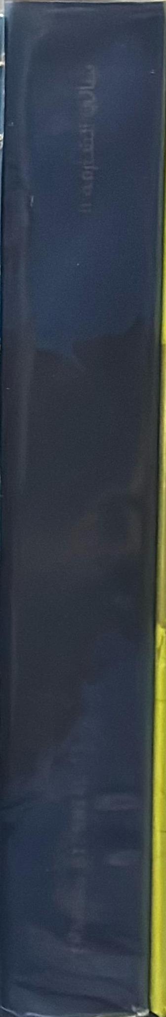 Re:emerge : towards a new cultural cartography : Sharjah Biennial 11 spine