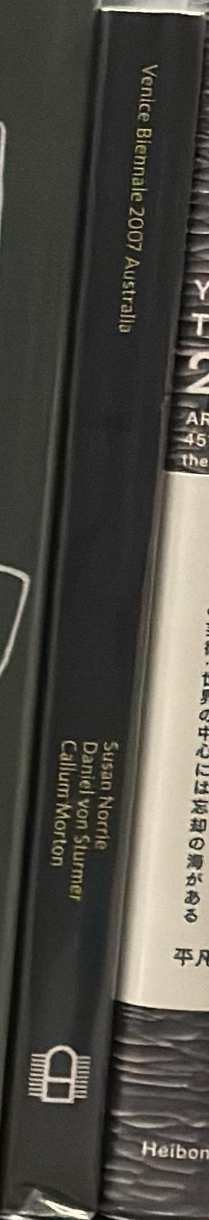 Venice Biennale 2007 Australia : Susan Norrie, Daniel von Sturmer, Callum Morton spine