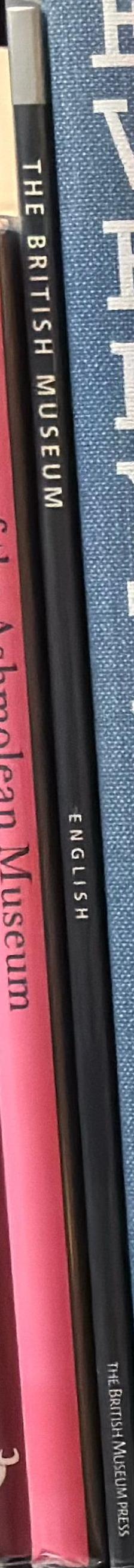 The centrifugal soul / [Mat Collishaw] spine