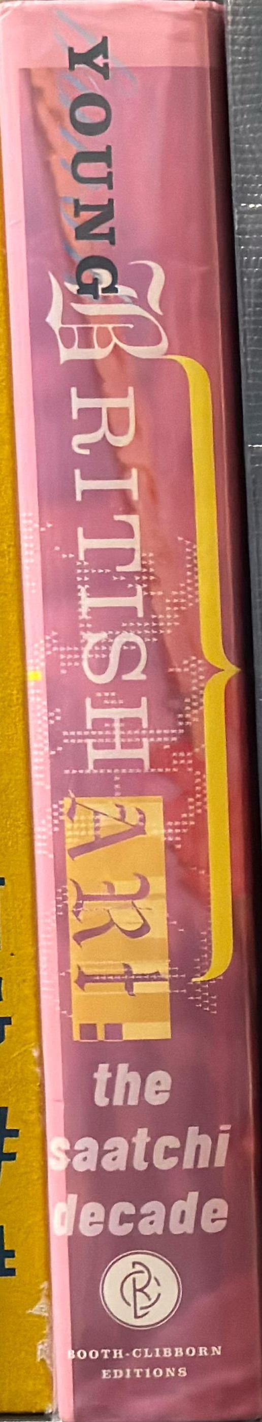 Young British art : the Saatchi decade spine