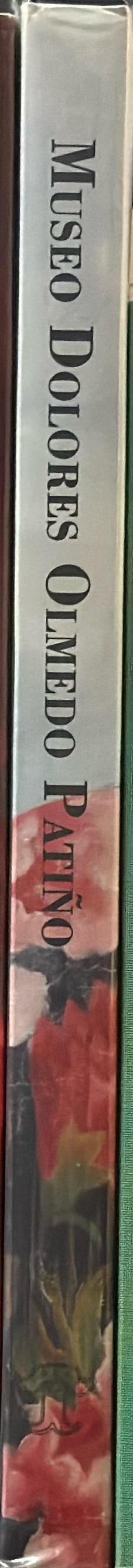 Museo Dolores Olmedo Patino spine