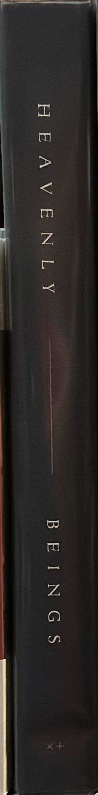 Heavenly beings : icons of the Christian orthodox world spine