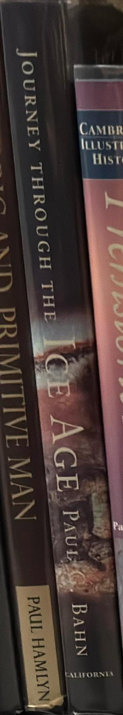 Journey through the Ice Age spine