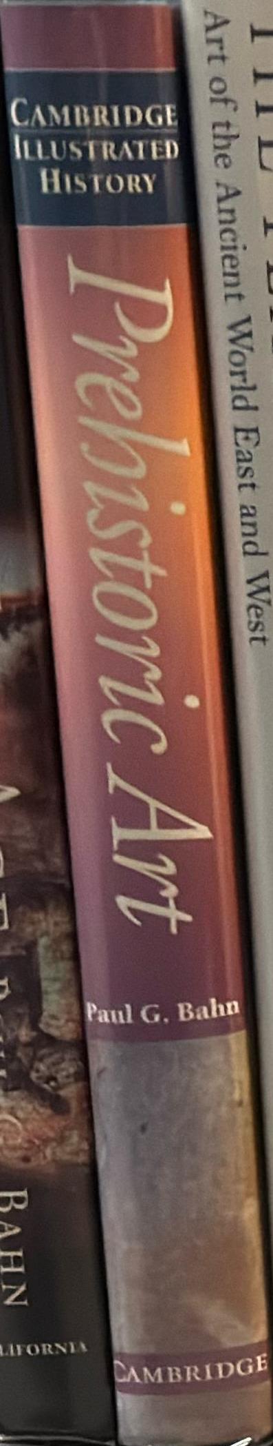 The Cambridge illustrated history of prehistoric art spine