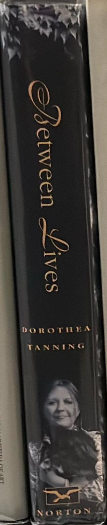 Between lives : an artist and her world spine