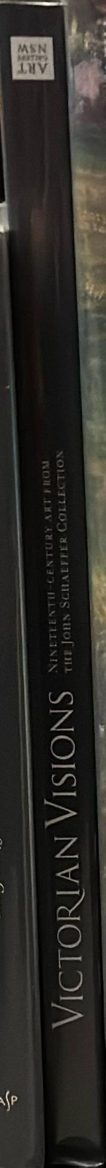 Victorian visions : nineteenth-century art from the John Schaeffer Collection spine