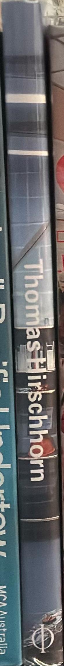 Thomas Hirschhorn spine