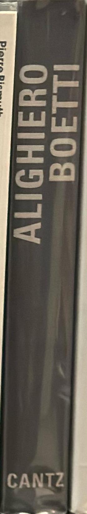 Alighiero Boetti : mettere al mondo il mondo spine