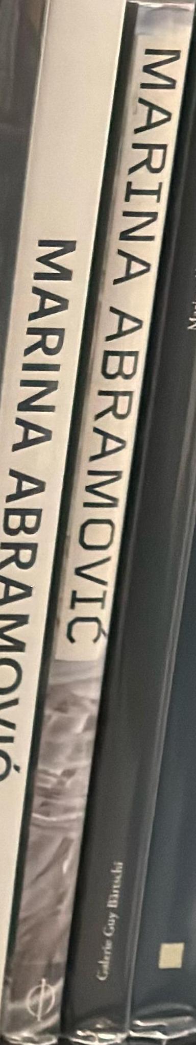 Marina Abramovic spine