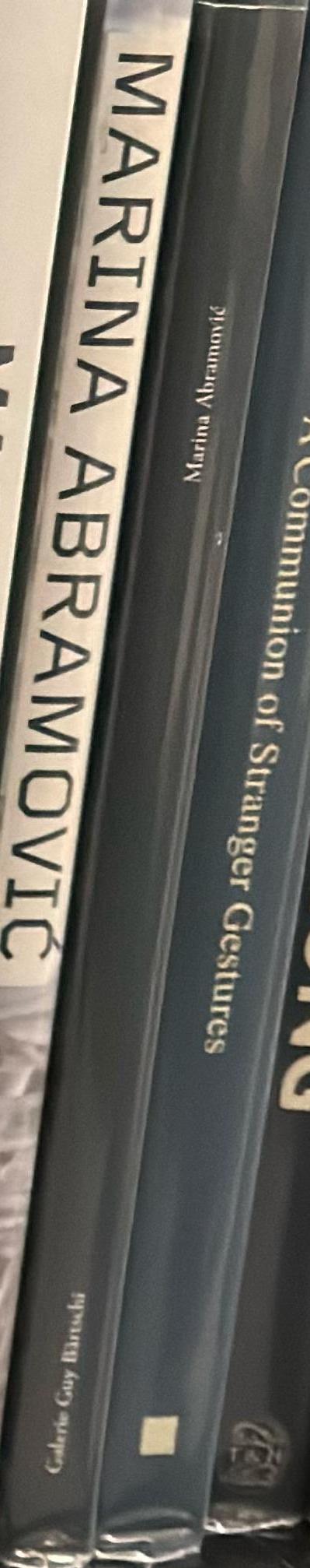 8 lessons on emptiness with a happy end spine