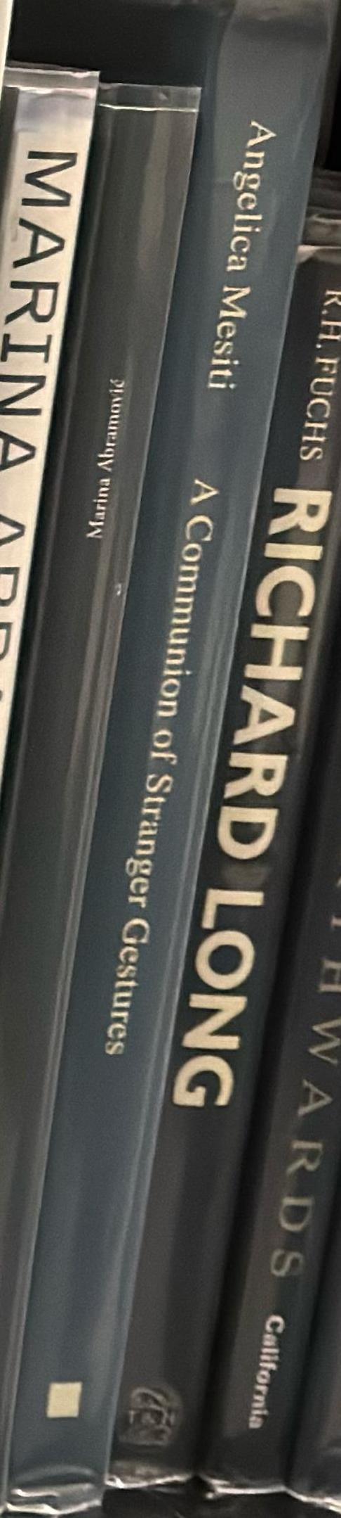 A communion of stranger gestures / Angelica Mesiti spine