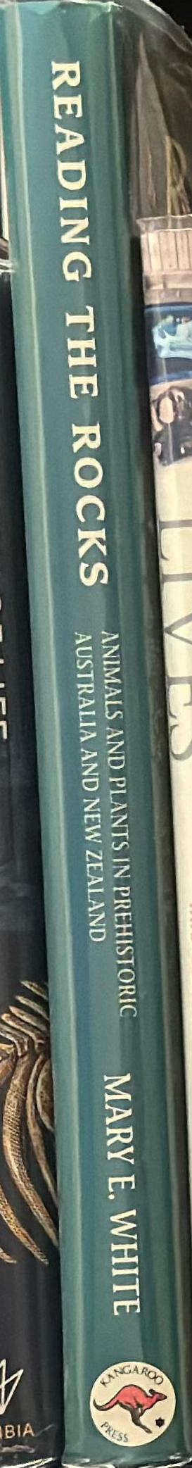 The visual arts : a world survey from prehistoric times to the present, with special reference to Australia and New Zealand / Maurice K. Symonds, Coll Portley, Ralph E. Phillips ; contributors, Sid Mead [and 6 others] spine