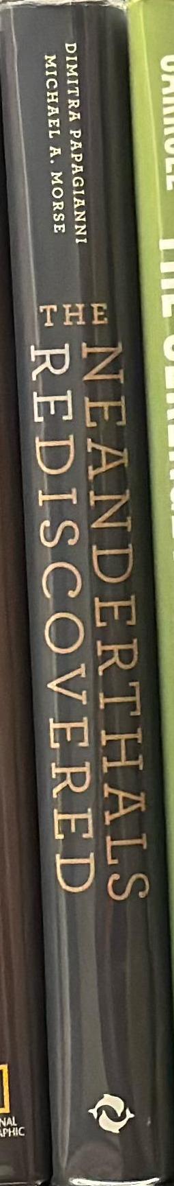 Neanderthals rediscovered : how modern science is rewriting their story spine