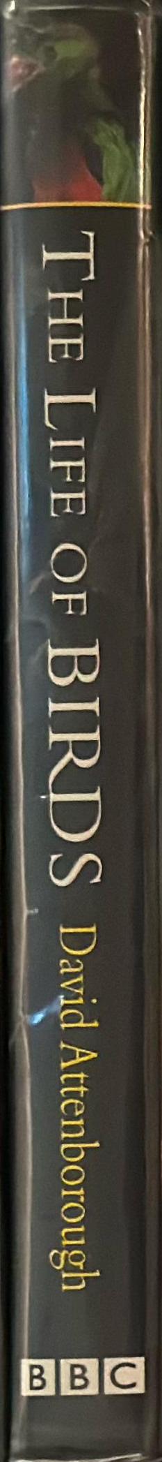 The life of birds spine