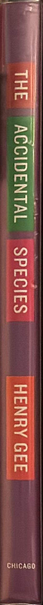 The accidental species : misunderstandings of human evolution spine