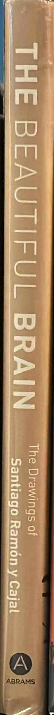 The beautiful brain : the drawings of Santiago Ramón y Cajal / edited with commentaries by Eric A. Newman, Alfonso Araque, and Janet M. Dubinsky ; essays by Larry W. Swanson, Lyndel King, and Eric Himmel spine