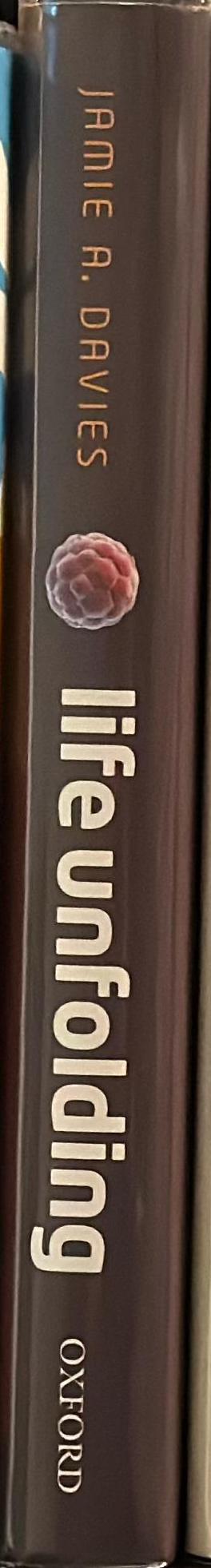 Life unfolding : how the human body creates itself / Jamie A. Davies spine