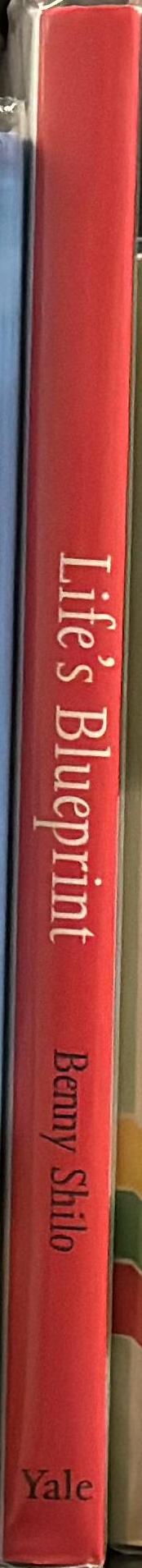 Life's blueprint : the science and art of embryo creation / Benny Shilo spine