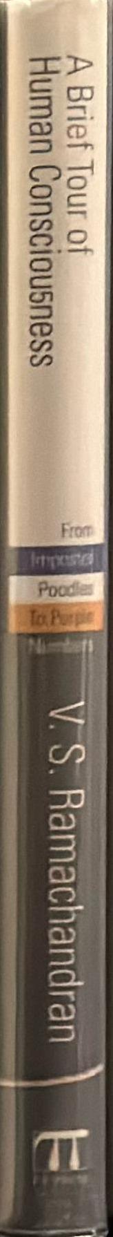 Brief tour of human consciousness : from imposter poodles to purple numbers spine