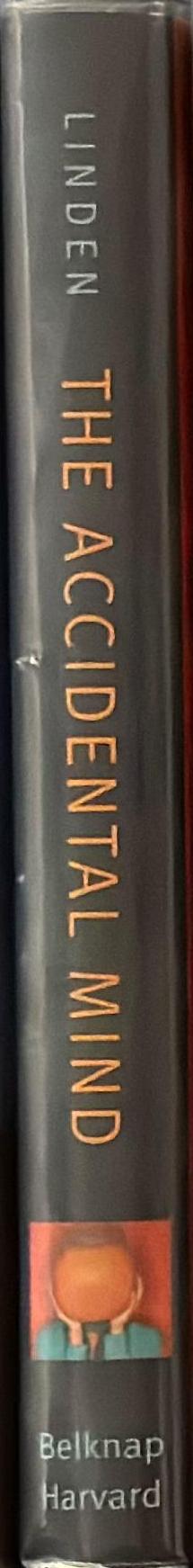 The accidental mind spine