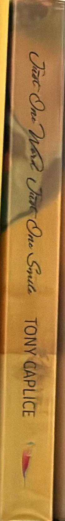 Just one word, just one smile : life and love after an aneurysm / Tony Caplice spine