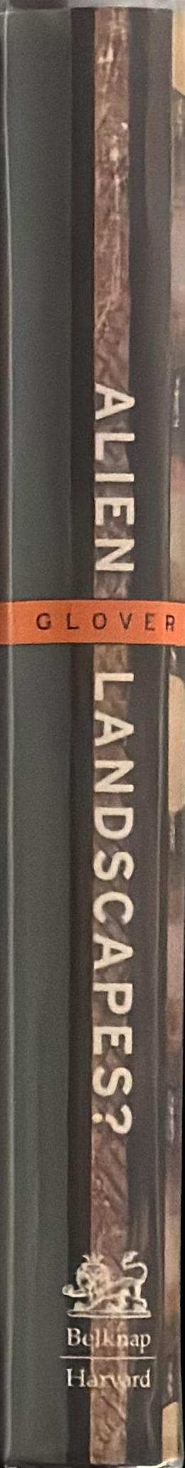 Alien landscapes? Interpreting disordered minds spine